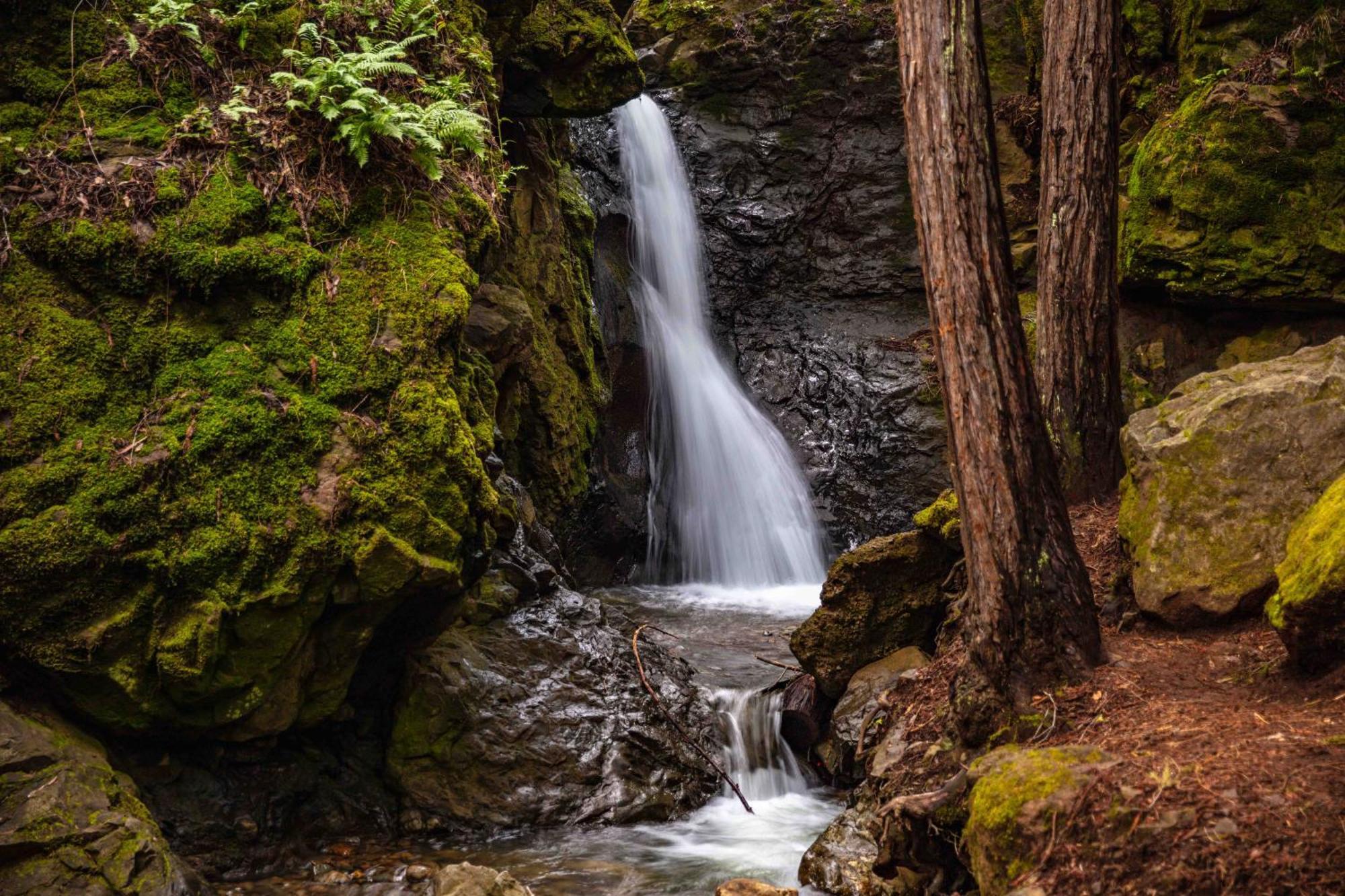 Enchanted Waterfall Sanctuary Мил Вали Екстериор снимка